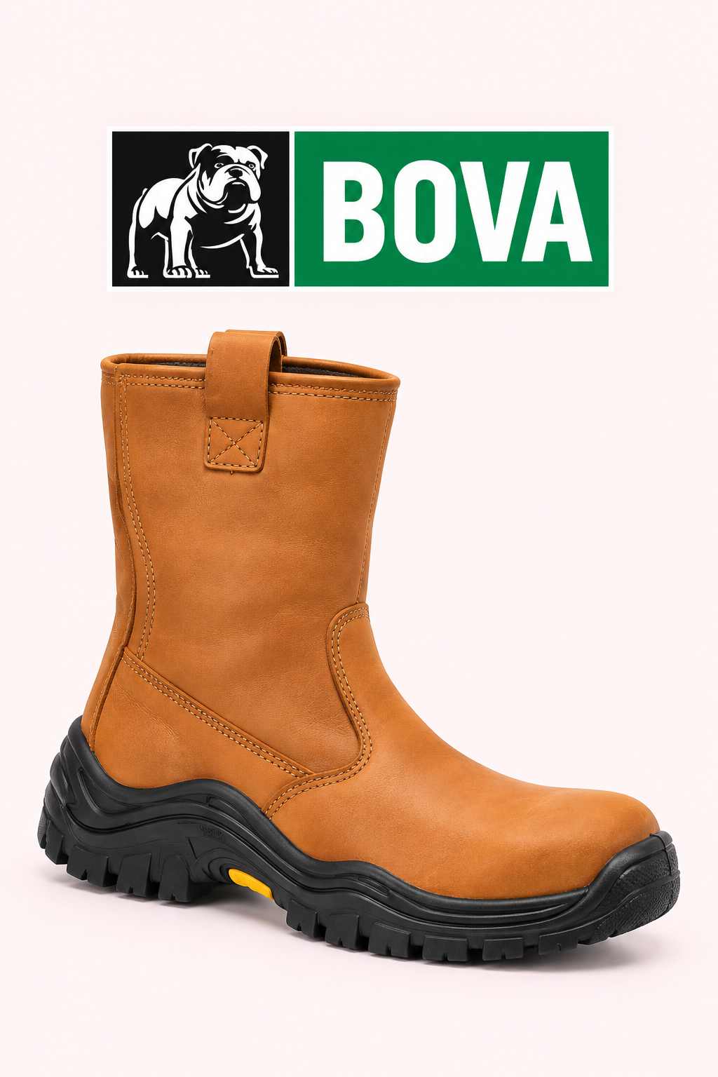 BOVA6